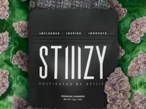 STIIIZY | Thin Mintz