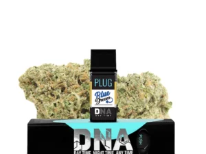 PLUGplay | PLUG™ DNA: Blue Dream Pod – 1.0g