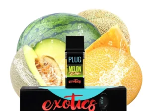 PLUGplay | PLUG™ EXOTICS: Melon Dew Pod – 1.0g