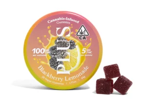 PLUS | Blackberry Lemonade Gummies – 100mg