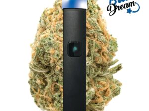 PLUGplay | JUSTplay™ Blue Dream All-in-One Pen – 1.0g