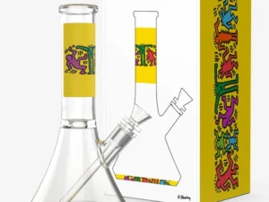 HIGHER STANDARDS – K. HARING WATER PIPE
