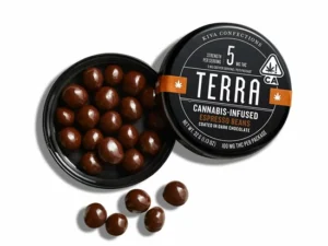 Terra Bites Chocolate Espresso Beans (H)