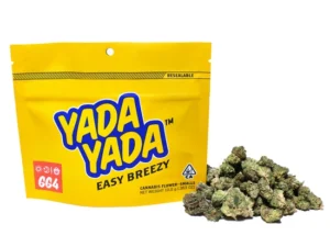 Yada Yada GG4 (H) - Smalls - 10g