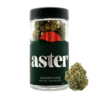 Aster Farms Grapesicle (H) - Smalls - 1/2 Ounce